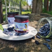 Miód z jagodą kamczacką "Kamczacki Twist" - Pszczela Symfonia