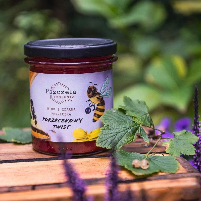 Miód z porzeczką "Porzeczkowy Twist" - Pszczela Symfonia