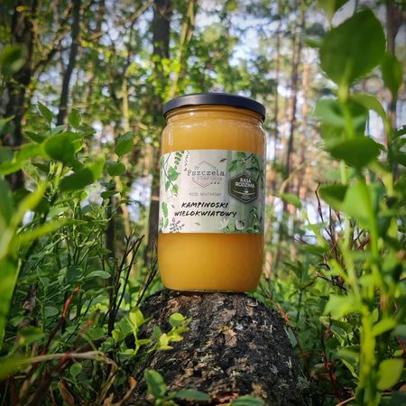 Miód kampinoski wielokwiatowy