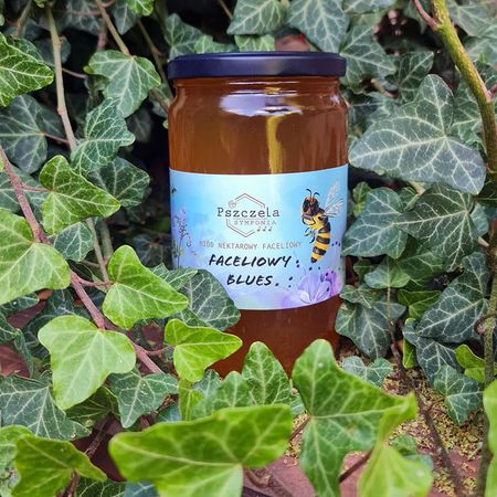 Miód faceliowy 