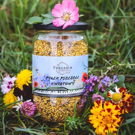 Pyłek Pszczeli